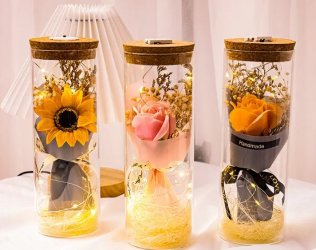Galaxy Rose Lamp
