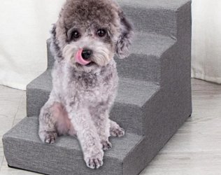 PetBetter Portable Dog Sta...