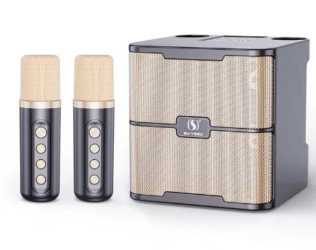 Wireless Bluetooth Dual Mi...