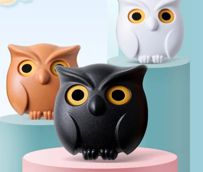 Cute Parrot Key Holder
