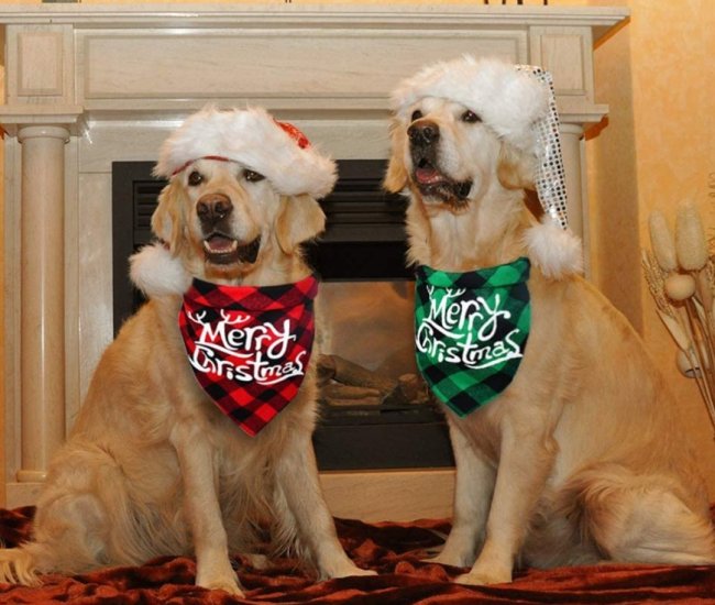 Festive Paws Christmas Dog Bandana